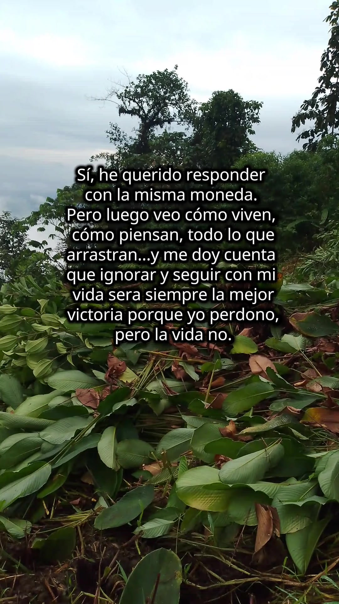 @Rios Medina