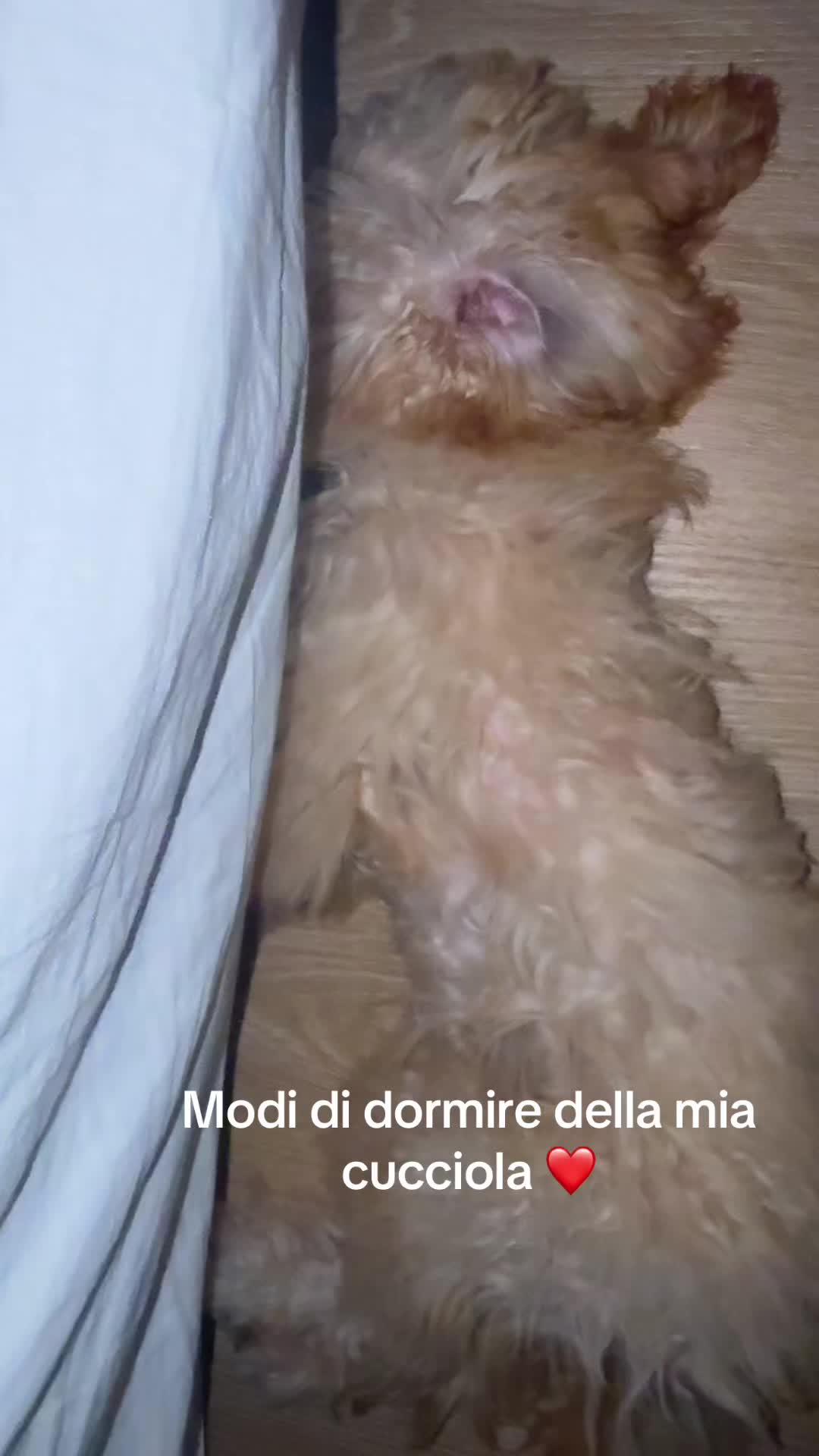 @❤️Antonella❤️