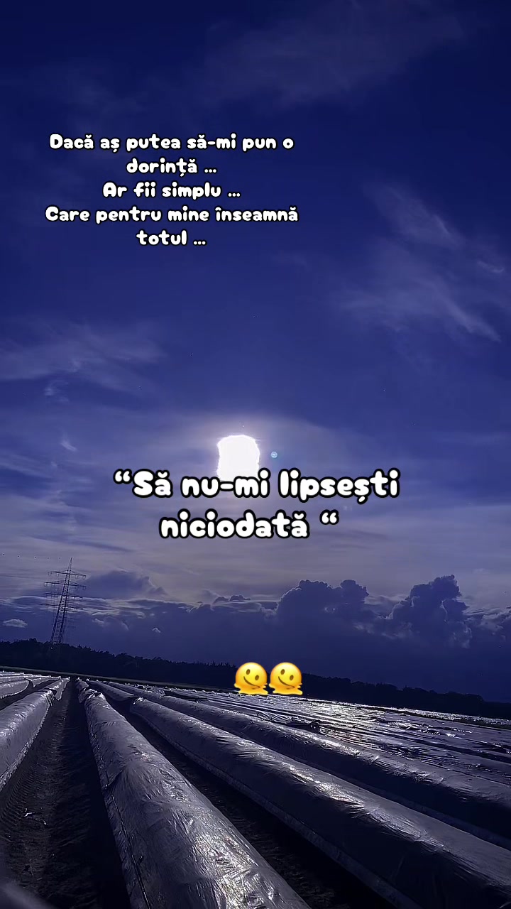 @🧸 bubu 🧸