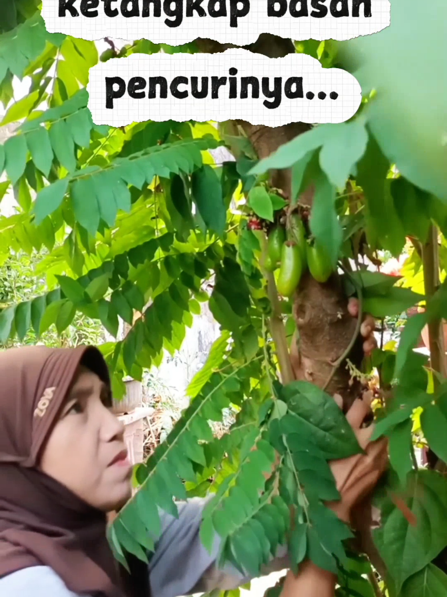 @Bubun Ganeas