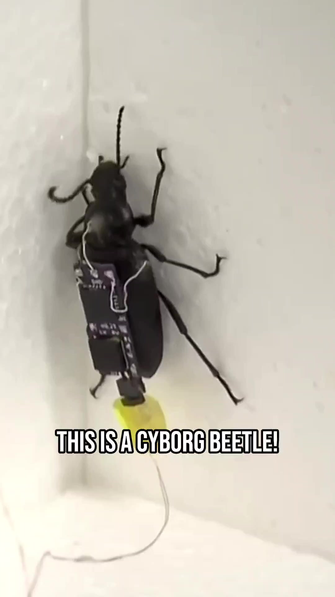 @Asteritech