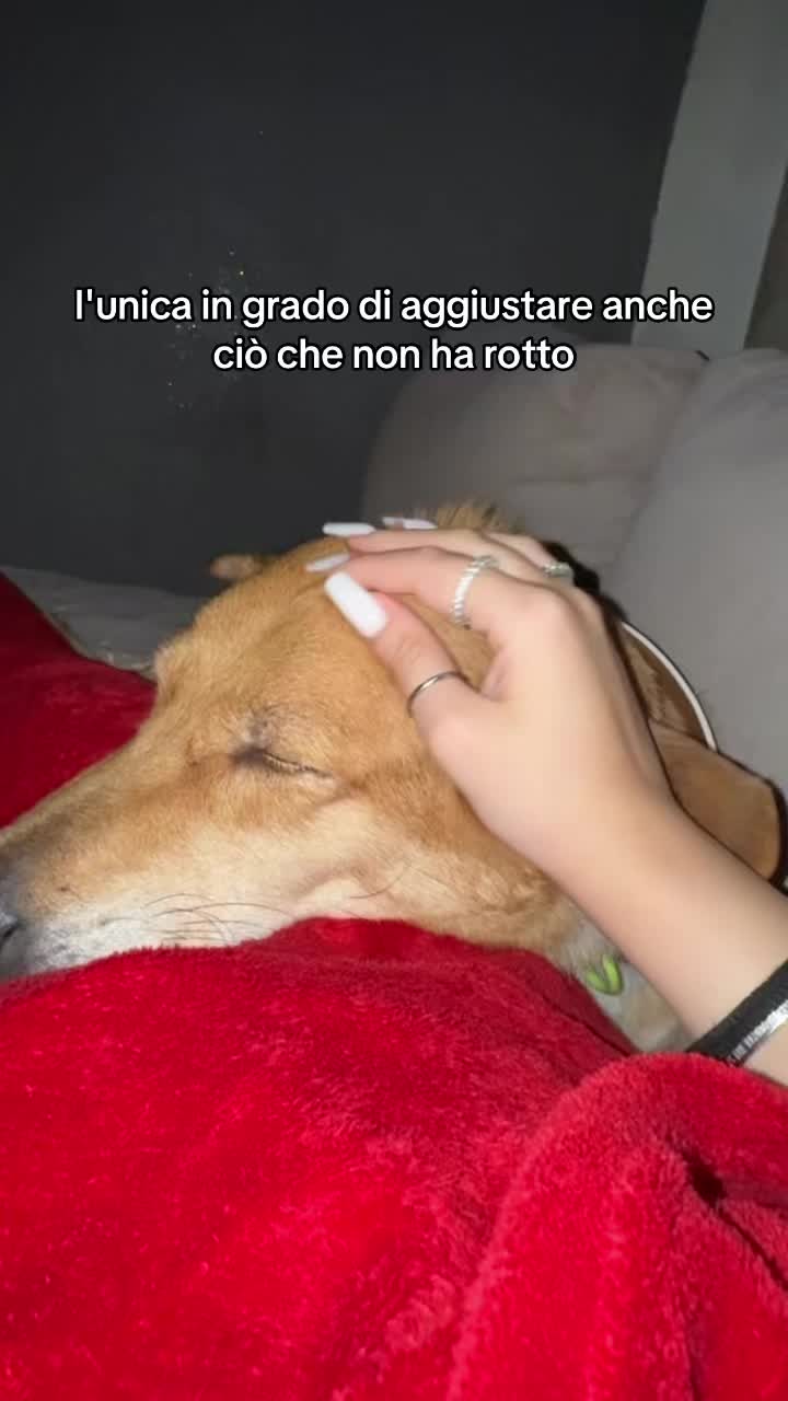 @Lucia Tortora