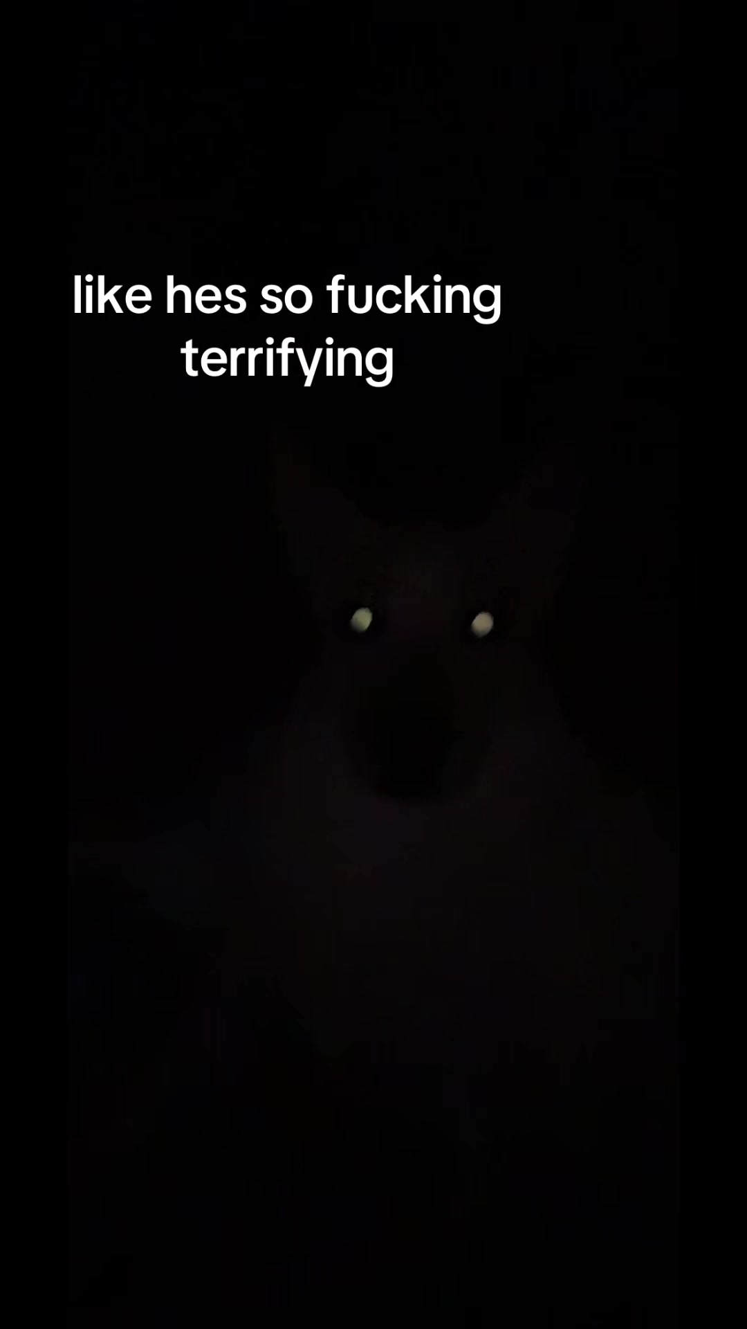 @whokilledjaylynnn