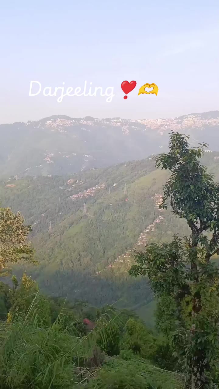 @MAYA🦋🦋🦋💔🤫