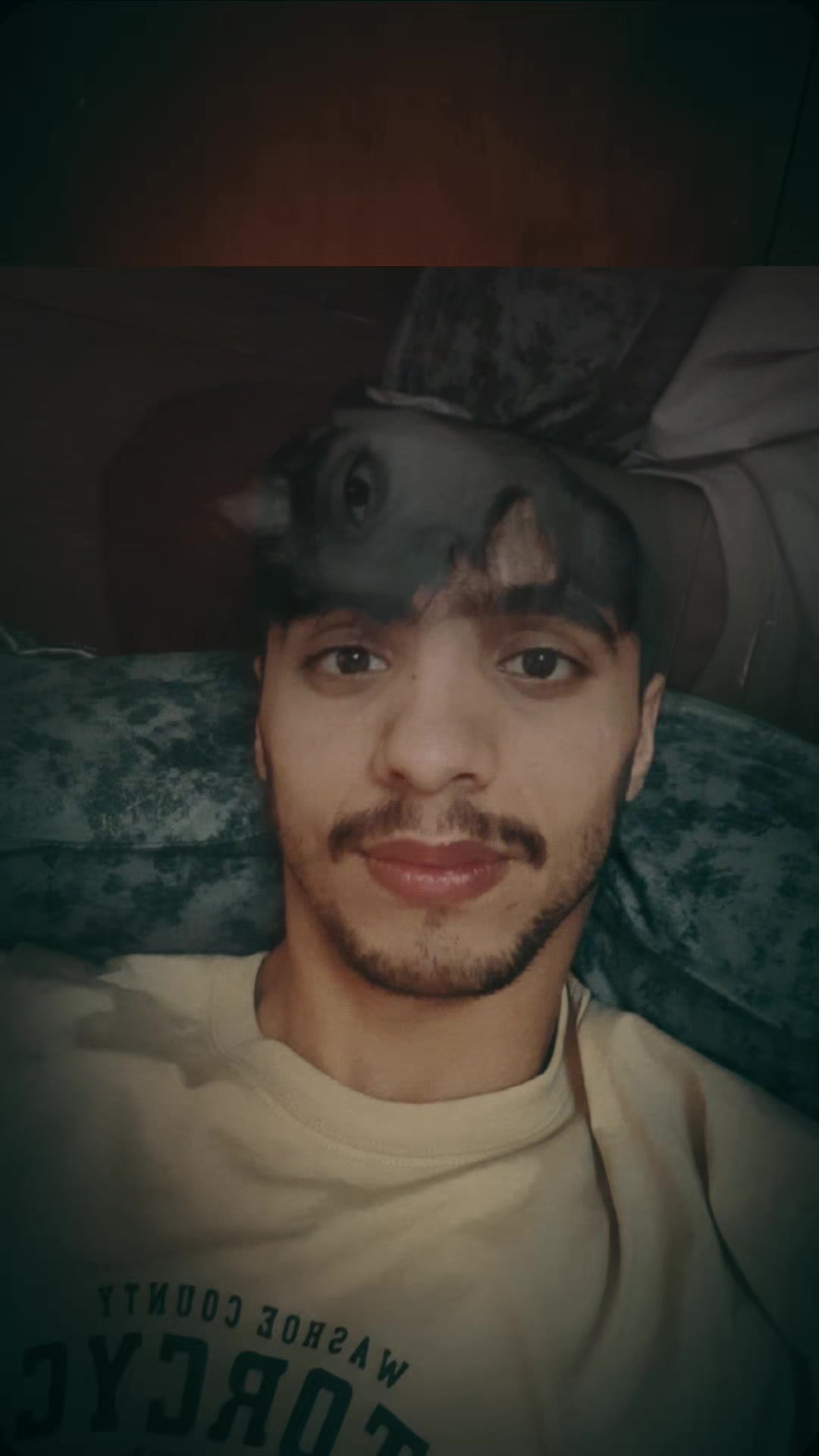 @احمد