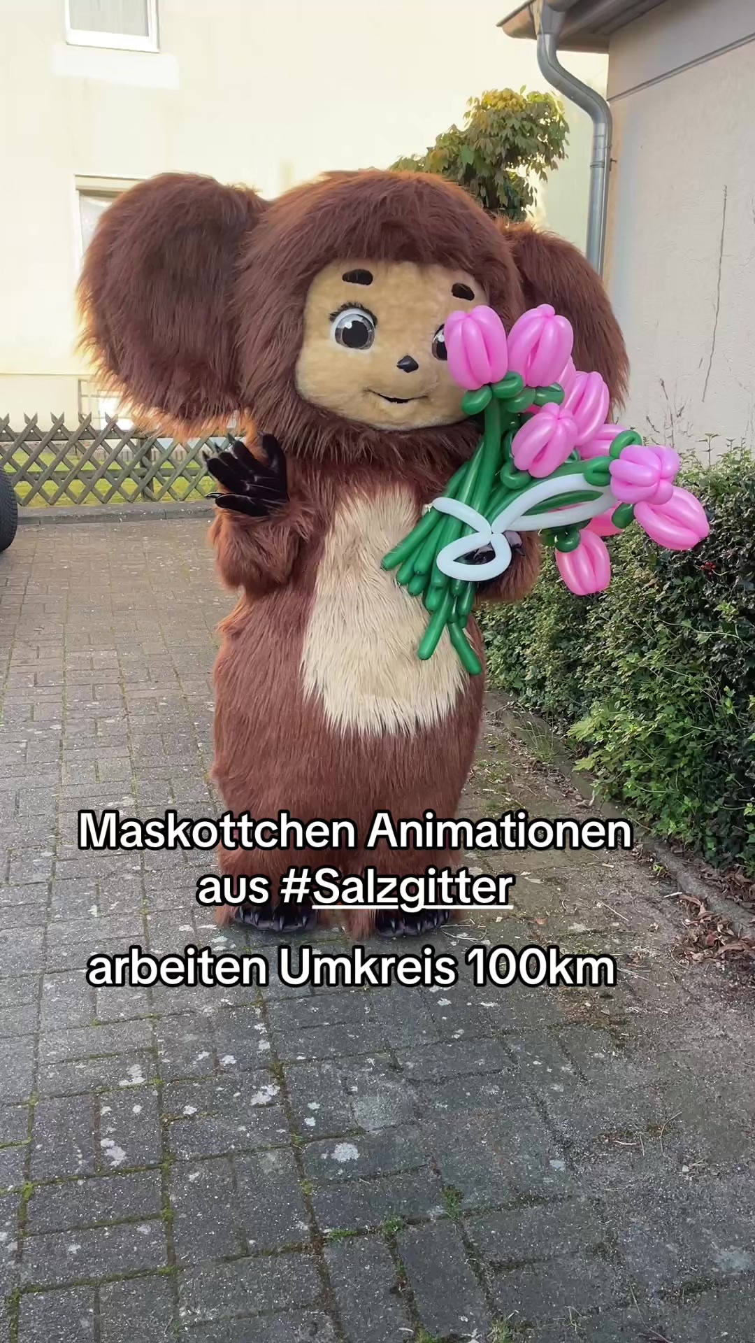 @maskottchensz