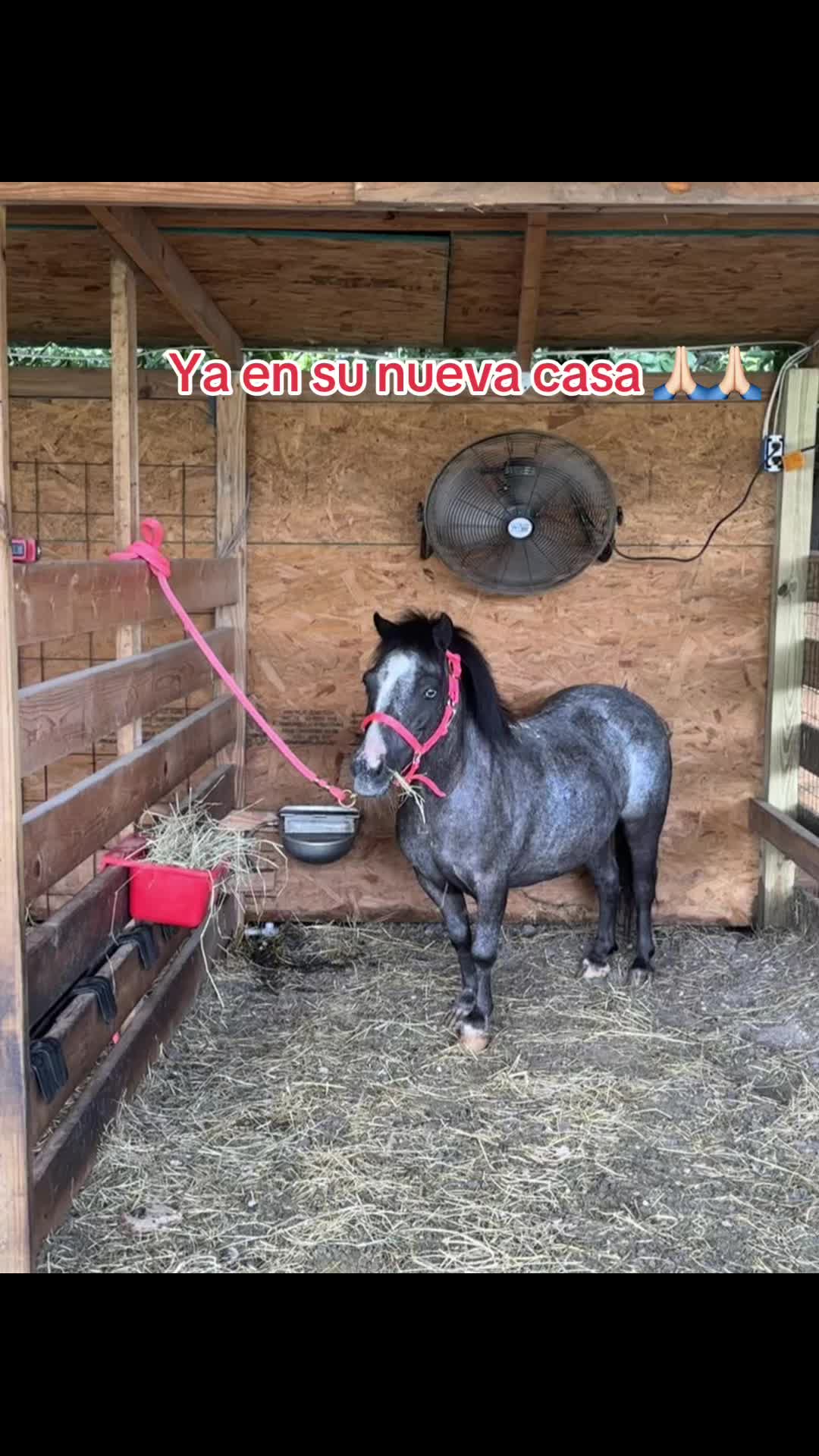 @Danny