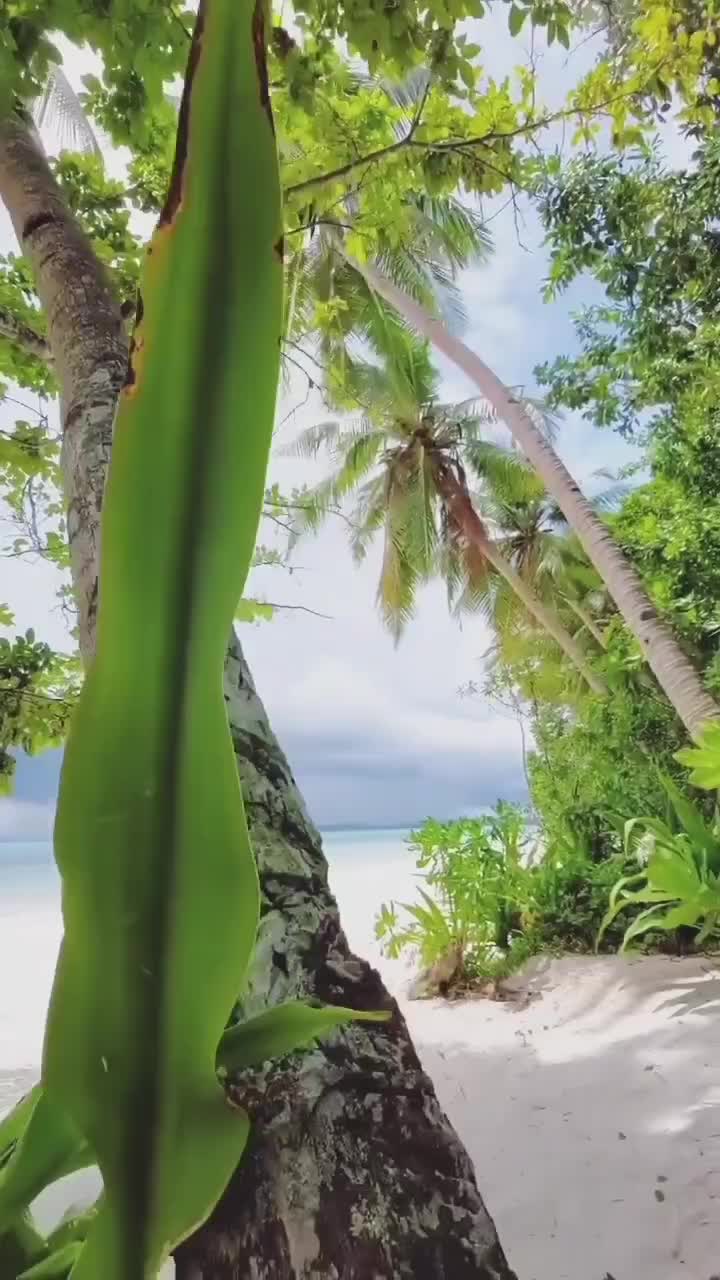 @NGURBLOAT BEACH