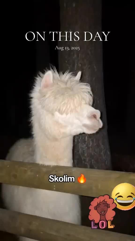 @mariolanu0