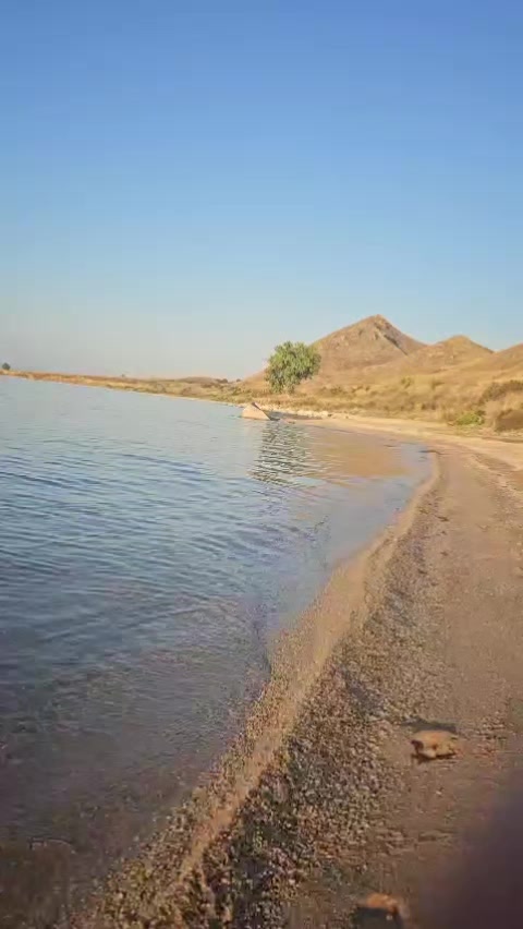 @ℤℍ𝔸ℕ🔆