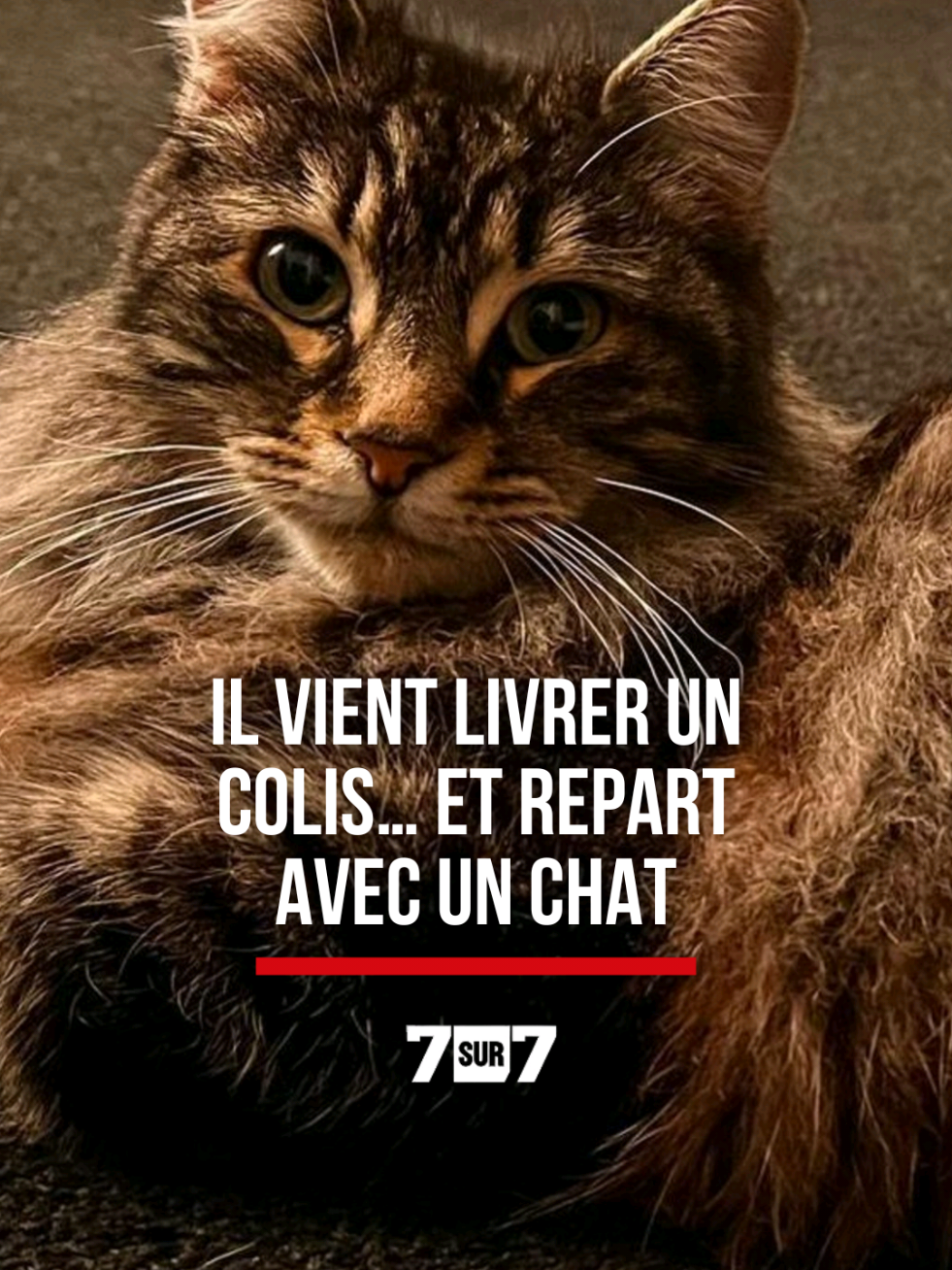 @7sur7.be