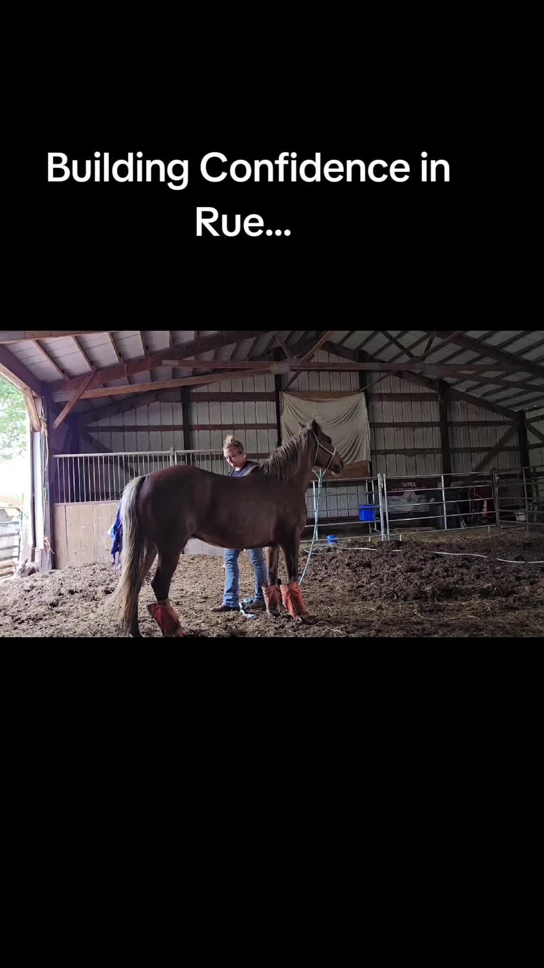 @Small Town Farm LLC