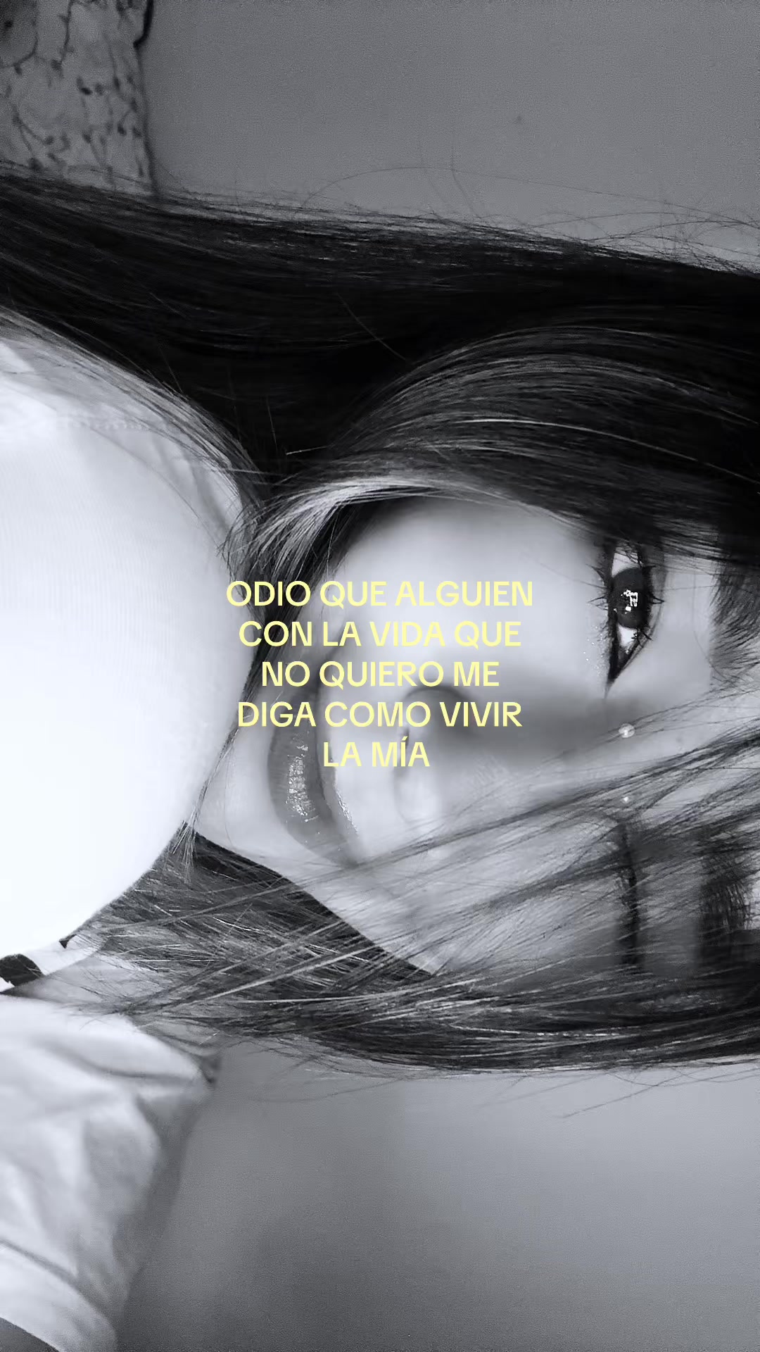 @ANGIGI 🐼