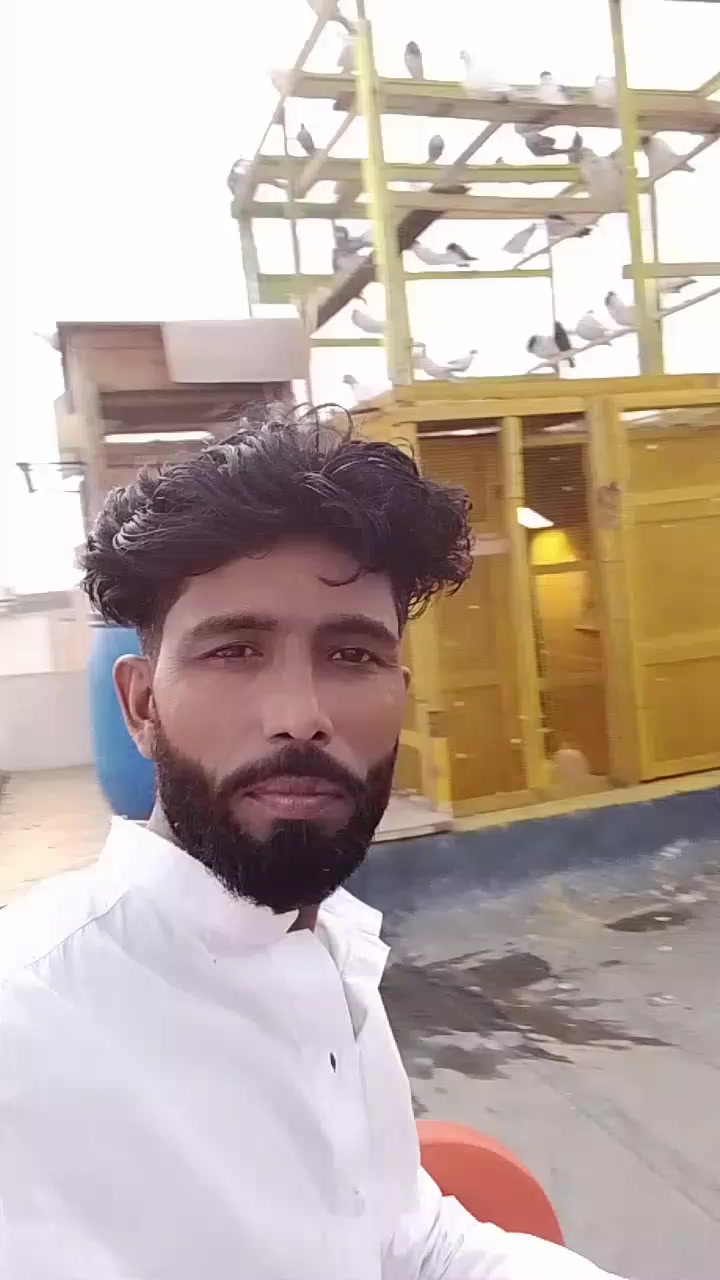 @Imran Jutt💰💸📊