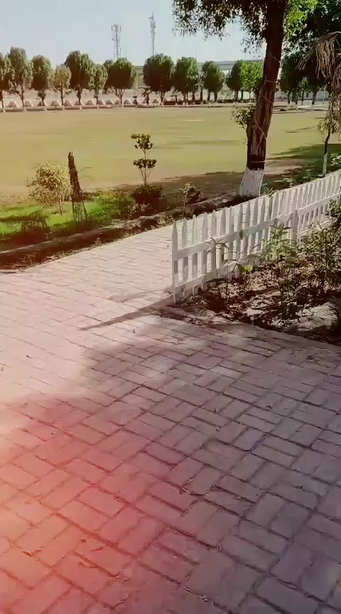 @tofeeqkhanpury