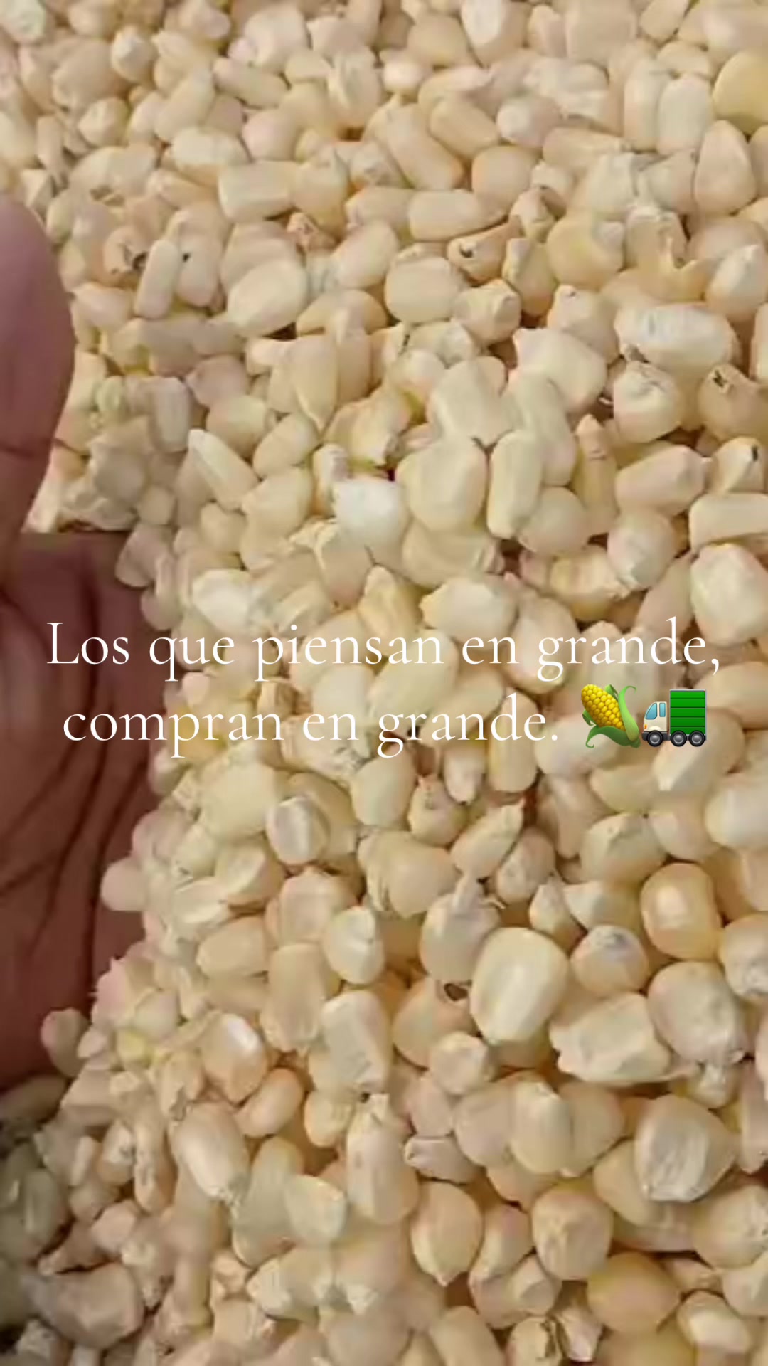@Comercializadora RG