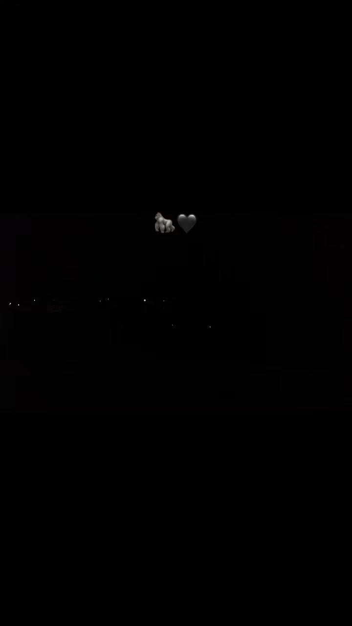 @𝑩𝒐𝒃𝒂🦁🇫🇷❤
