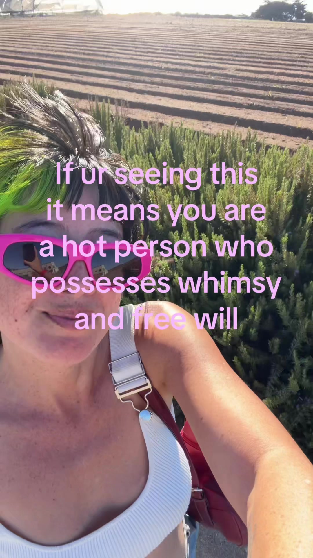 @mini bear