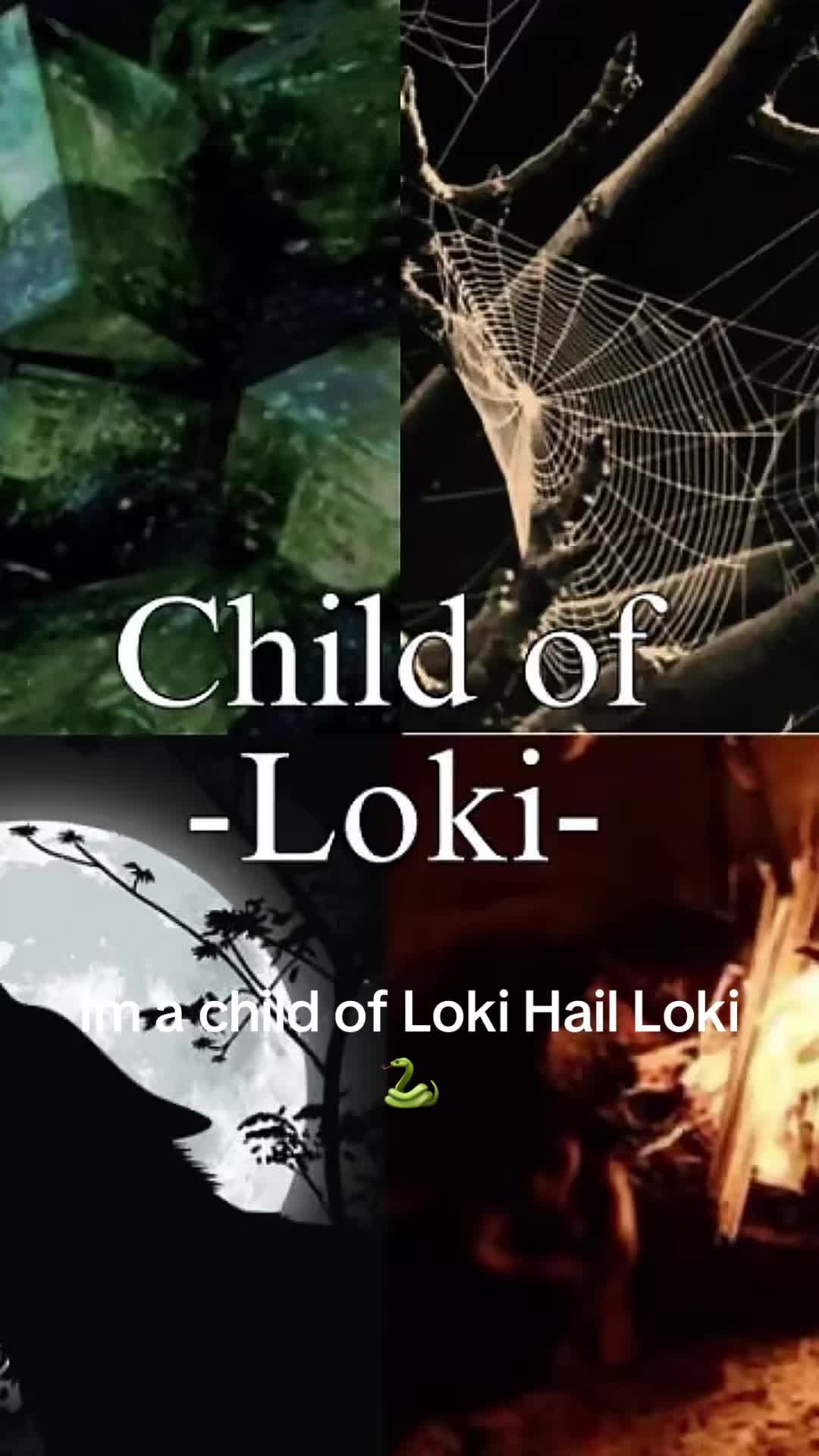 @SonOfLoki🐍🕷️