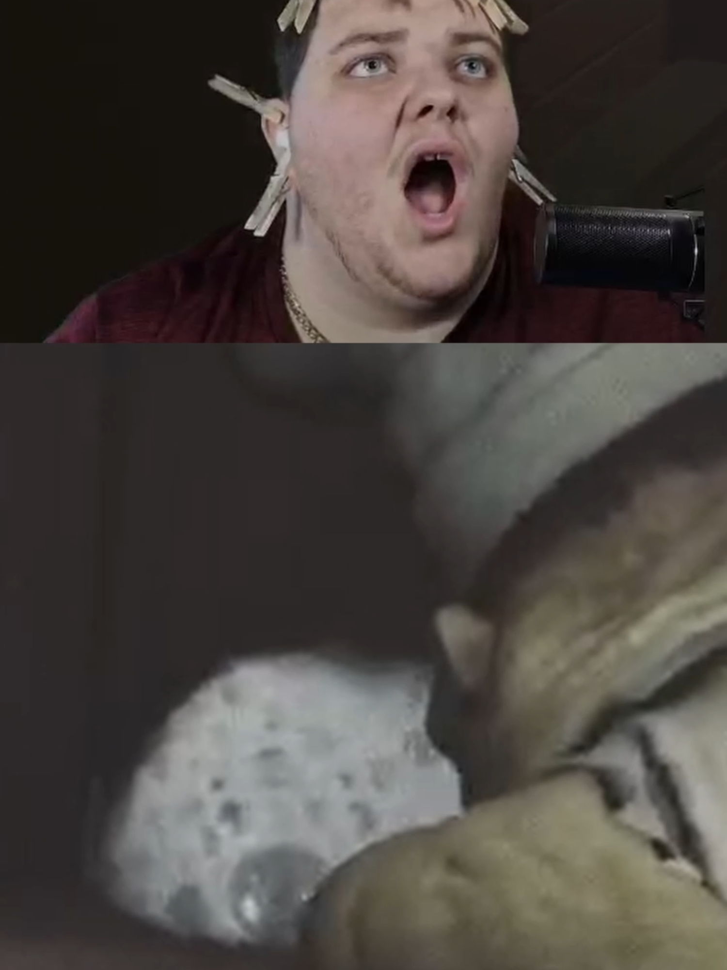 @YOUKNOWZAM5