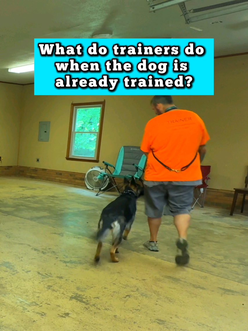 @Lost Boys K9 Academy