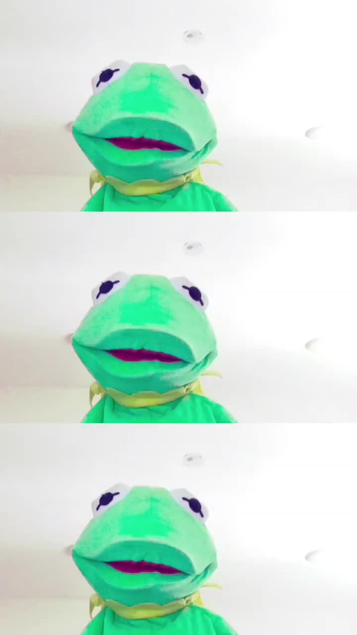 @Kermit The Frog Tiktok