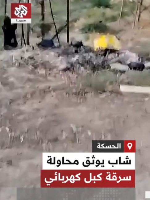 @التلفزيون العربي