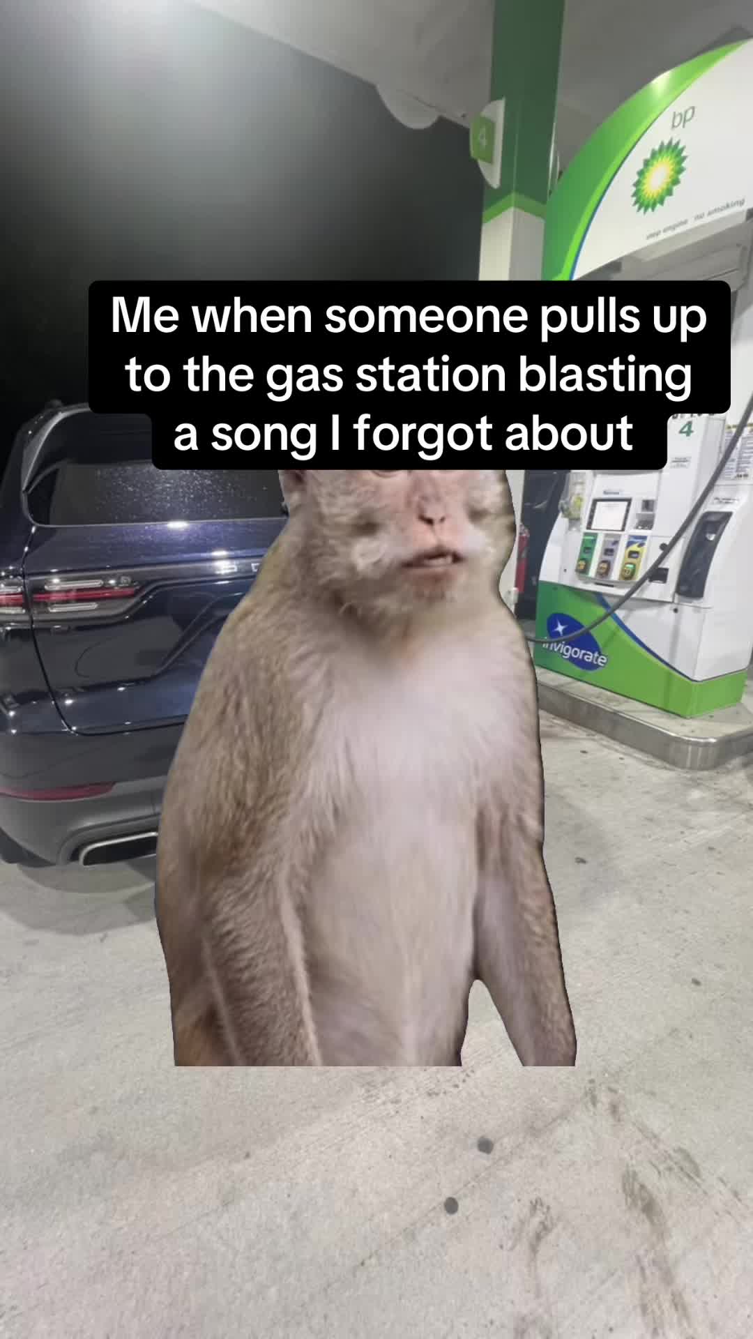 @Shafin Karim