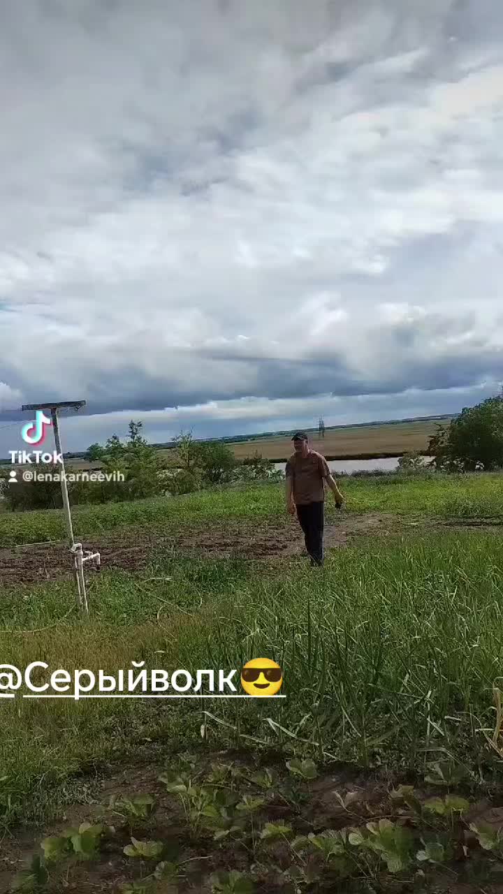 @lenakarneevih