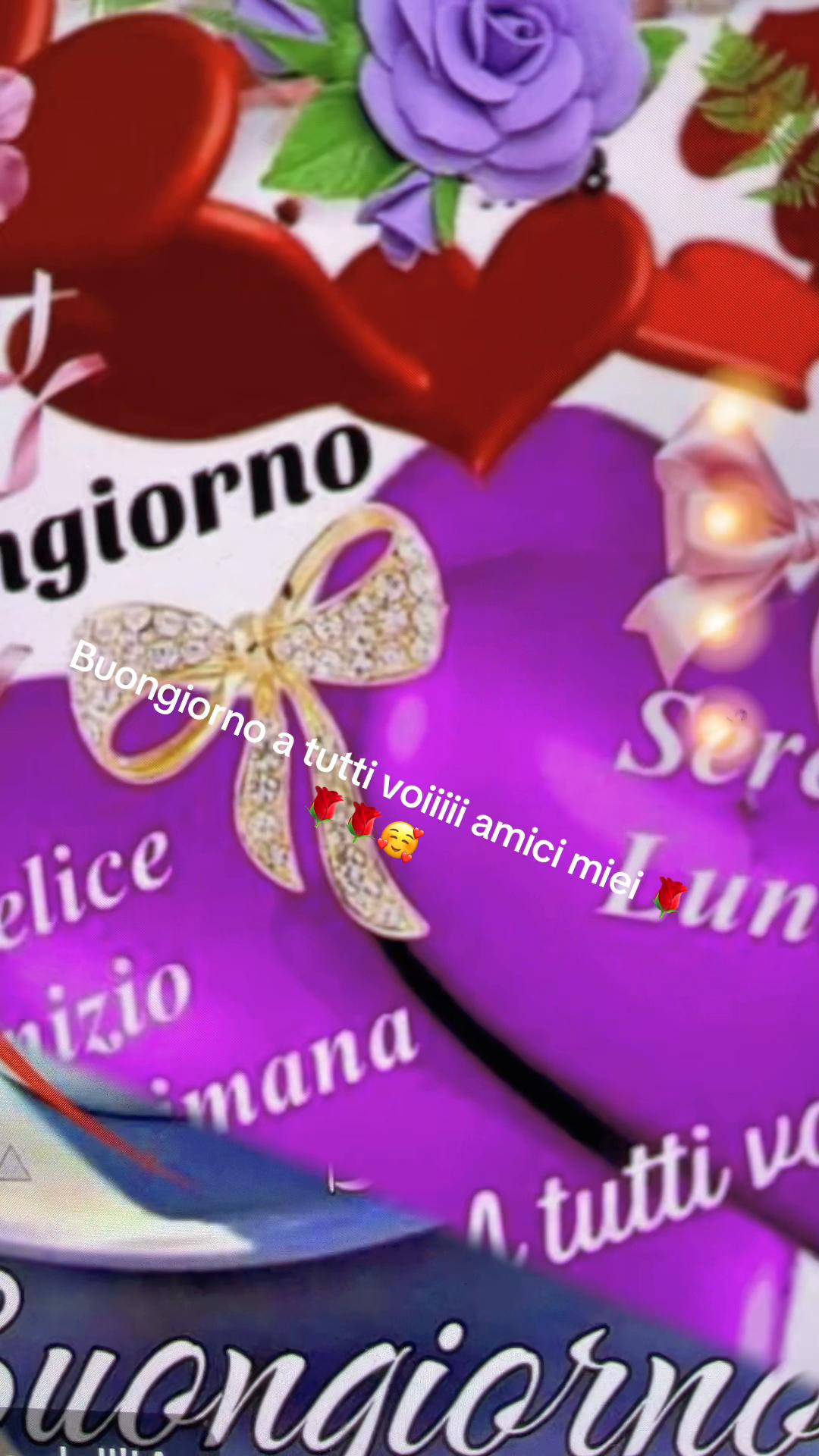 @ROSA😘♥️SERGIO ♥️🫂😘FOREVER