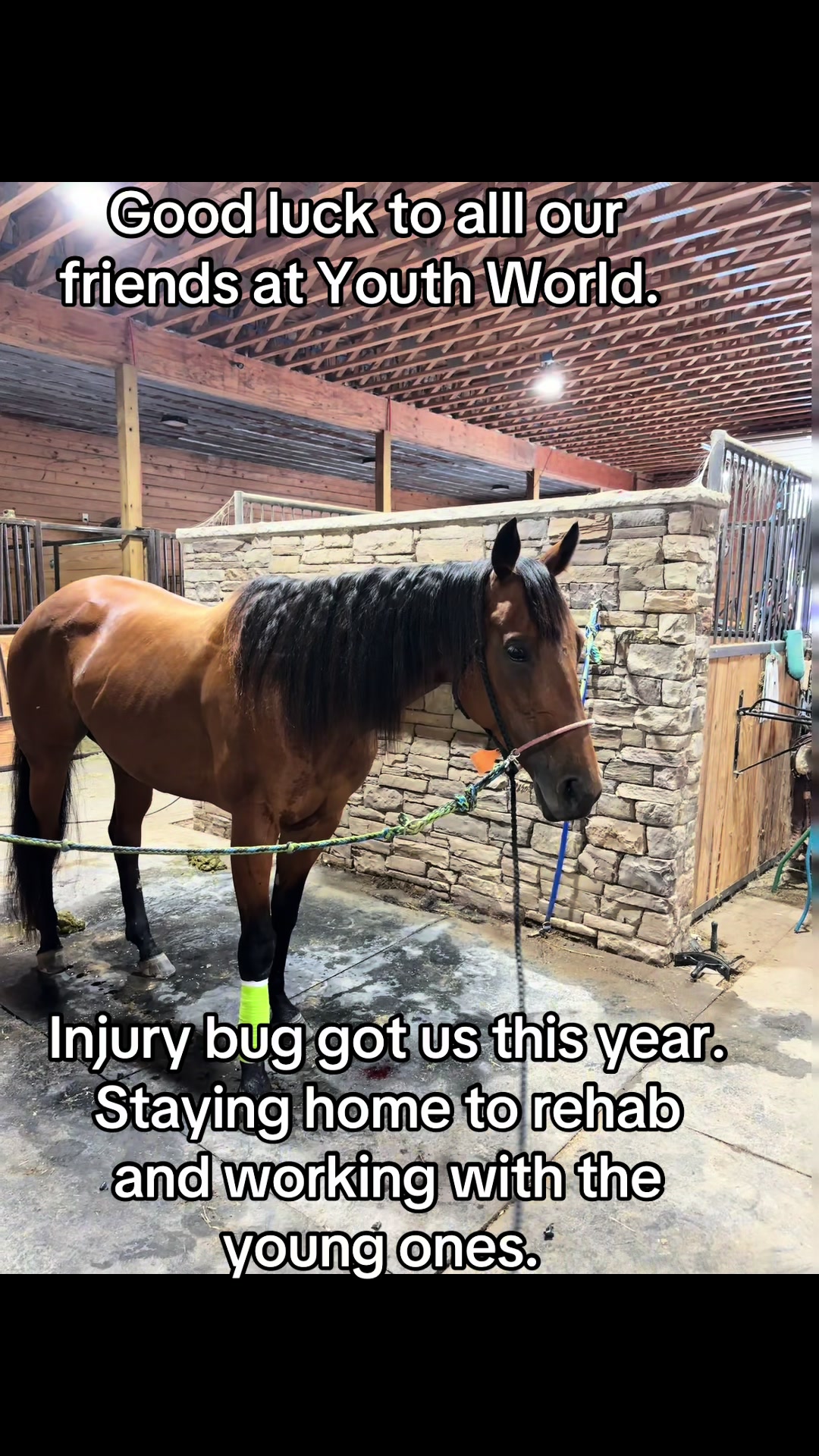 @Barrel racing dad