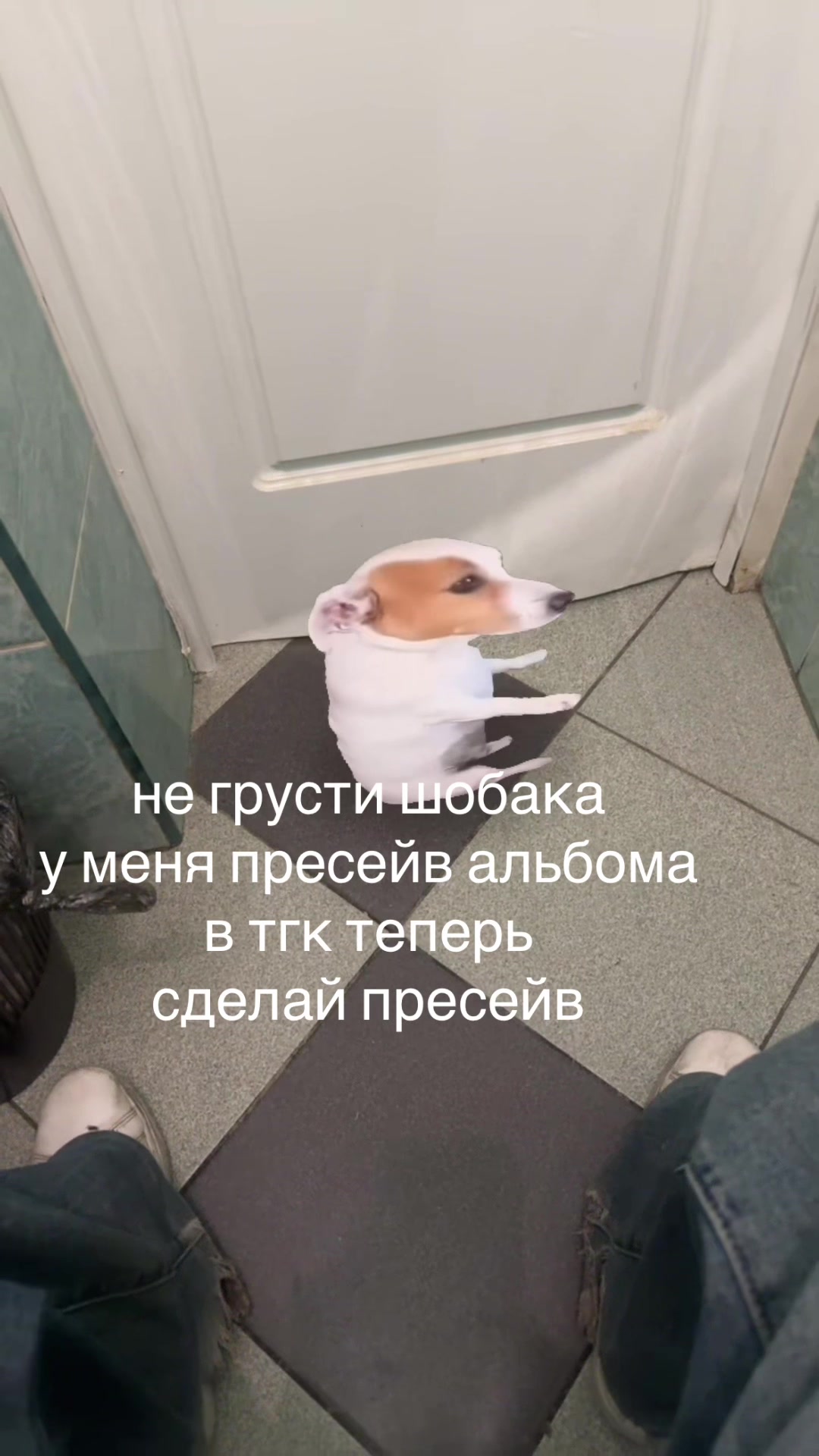 @ddlion