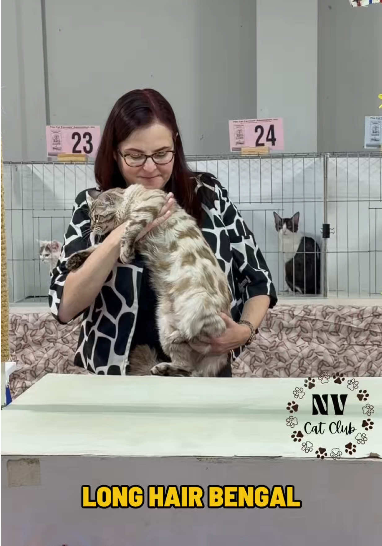 @NewVisionCatClub