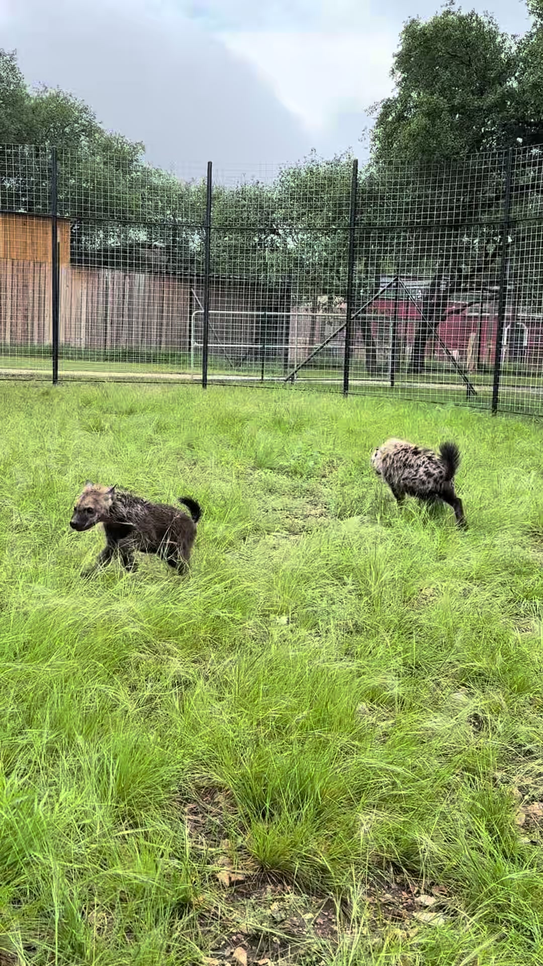 @Texas Wildlife Park