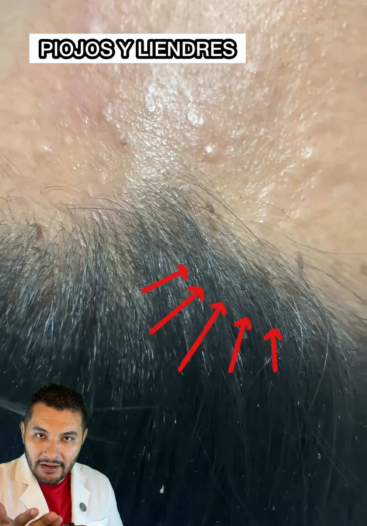 @Investigador Forense