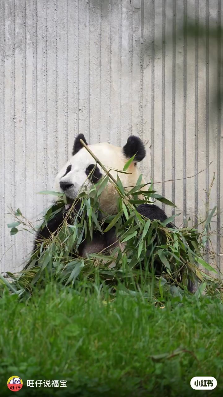 @福寶需要愛的抱抱