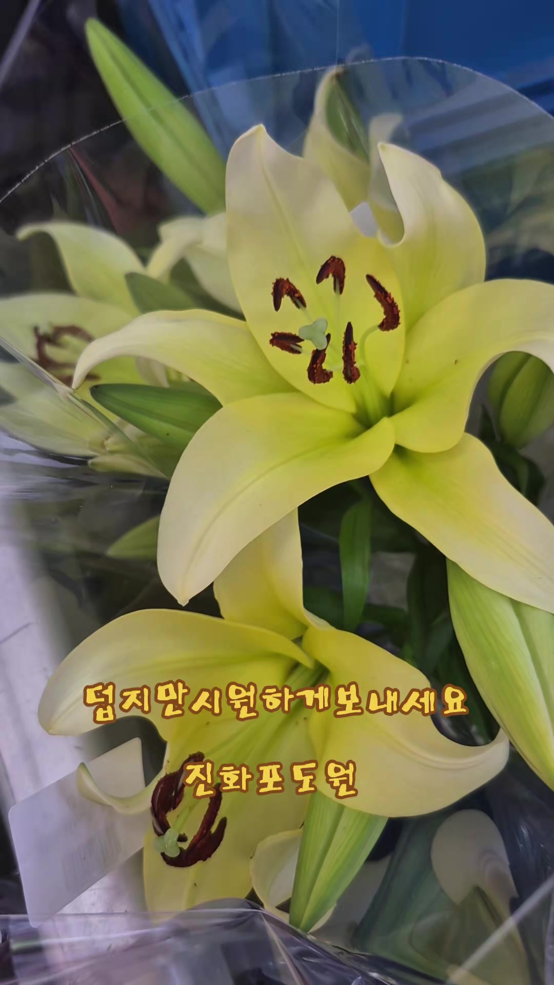 @진화포도원
