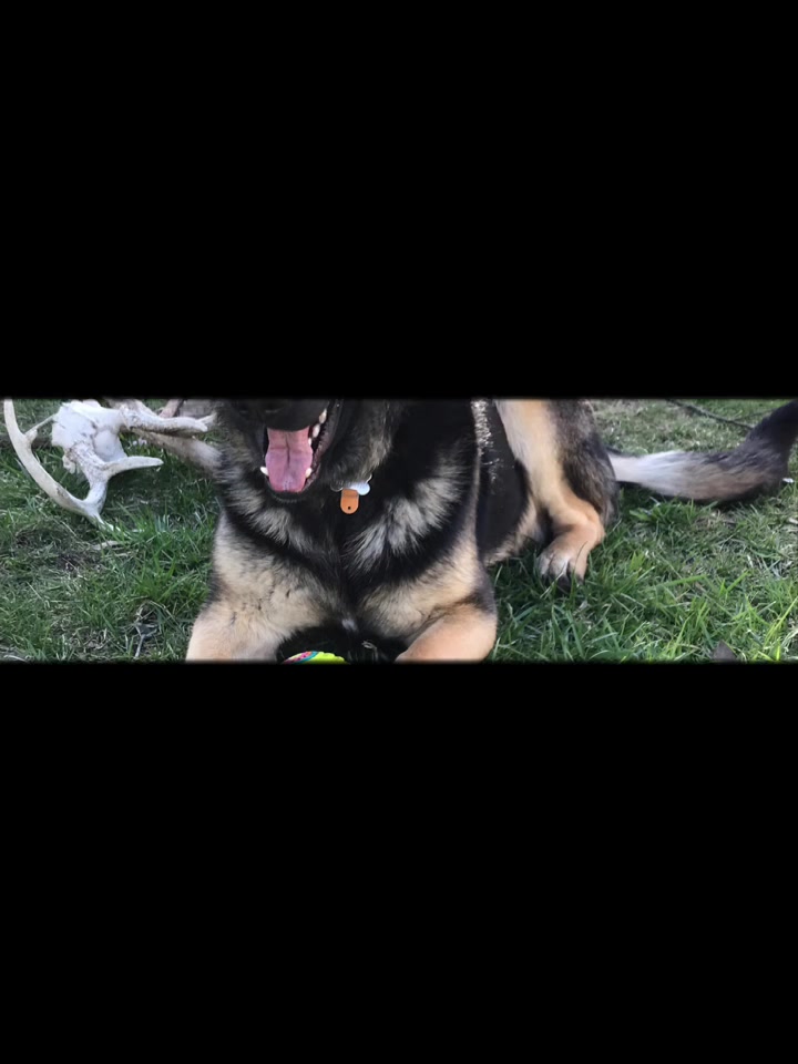 @MERCURY_GSD_24_7