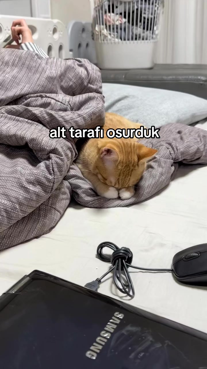 @rolland