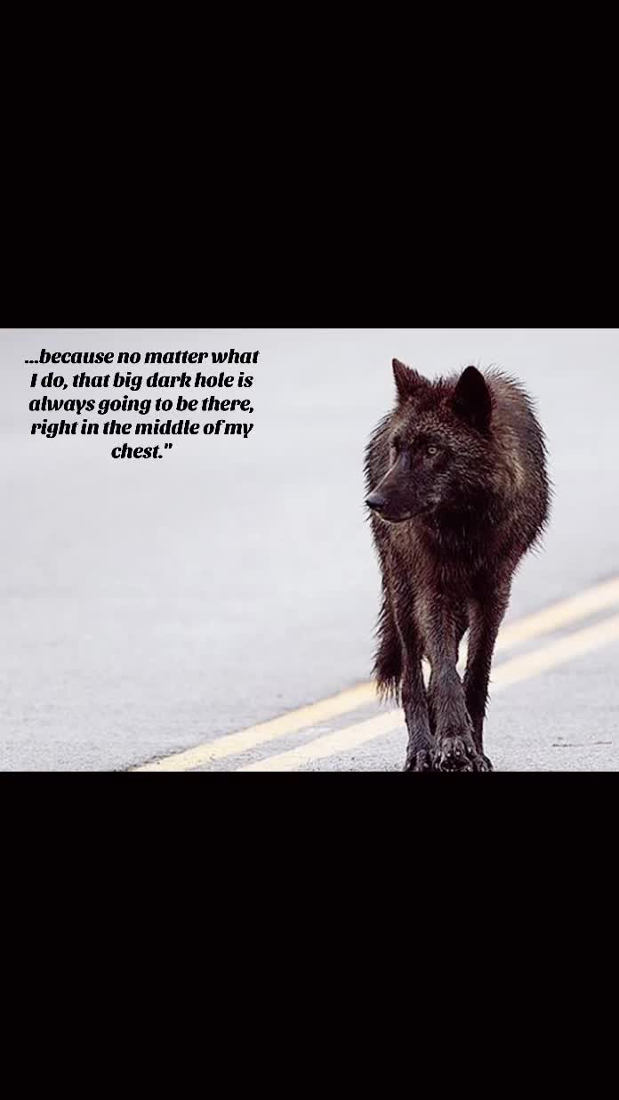 @🪬Conscious_LoneWolf🐺