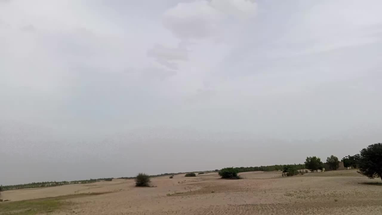 @Muzamil Hayat