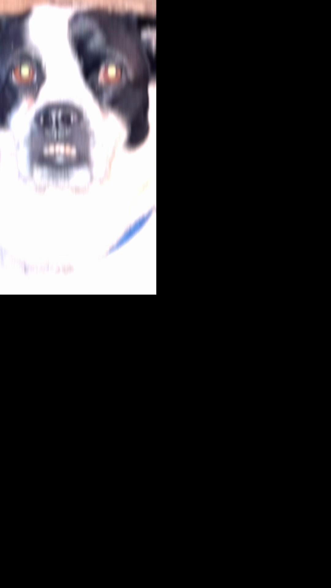 @๐ููุงุจ ุงูุดูุงุฑุน๐