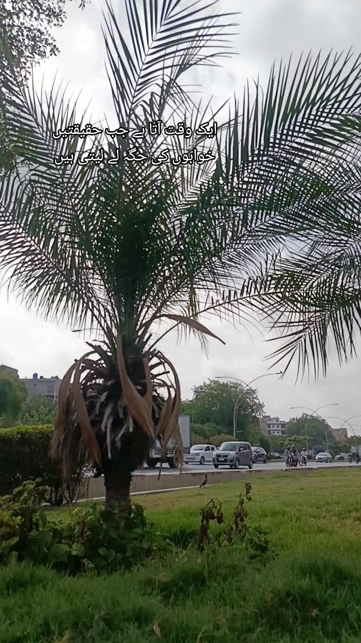 @Muhammad Tehseen Abbasi