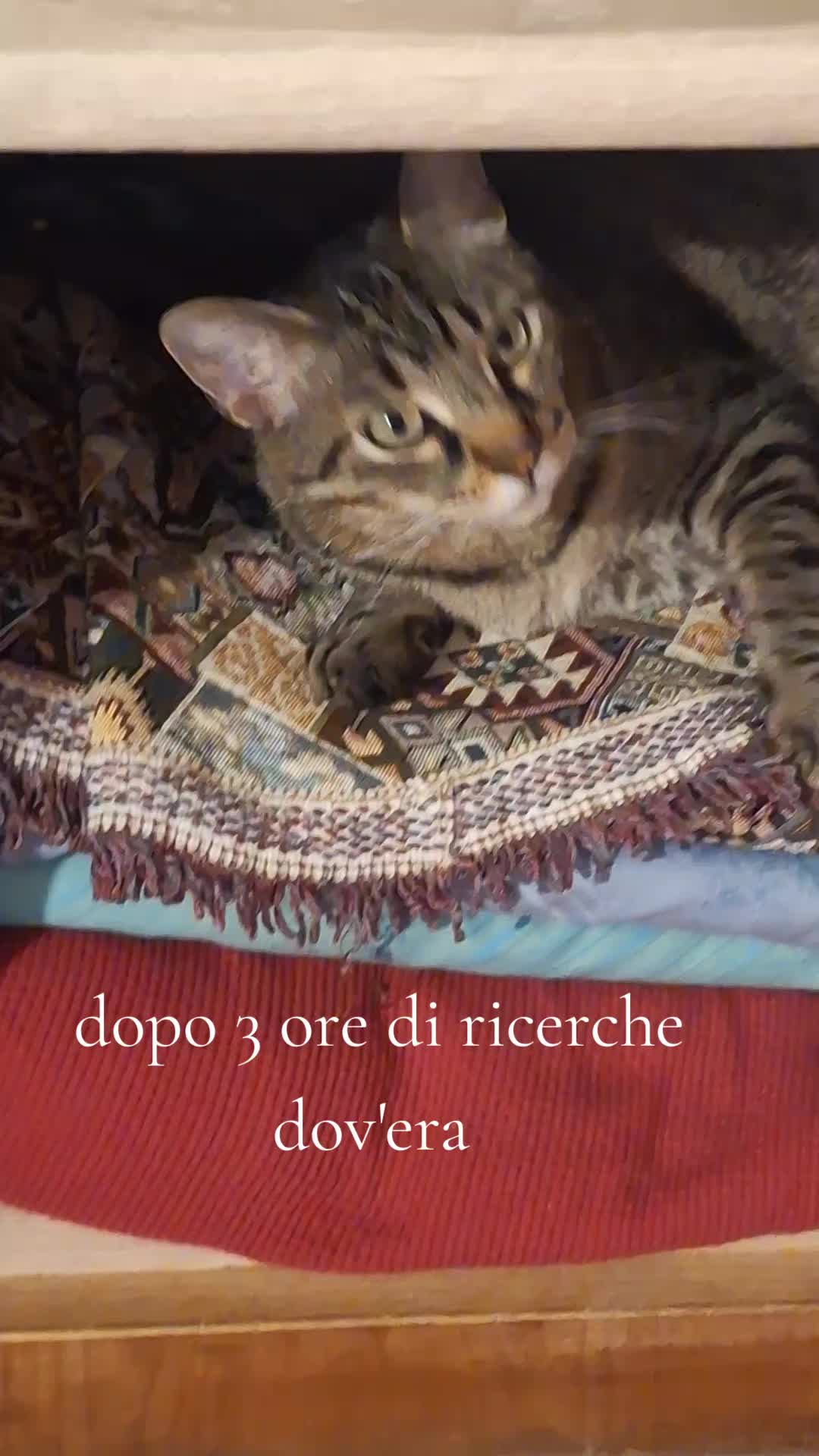 @La giusta distanza tra I ricci