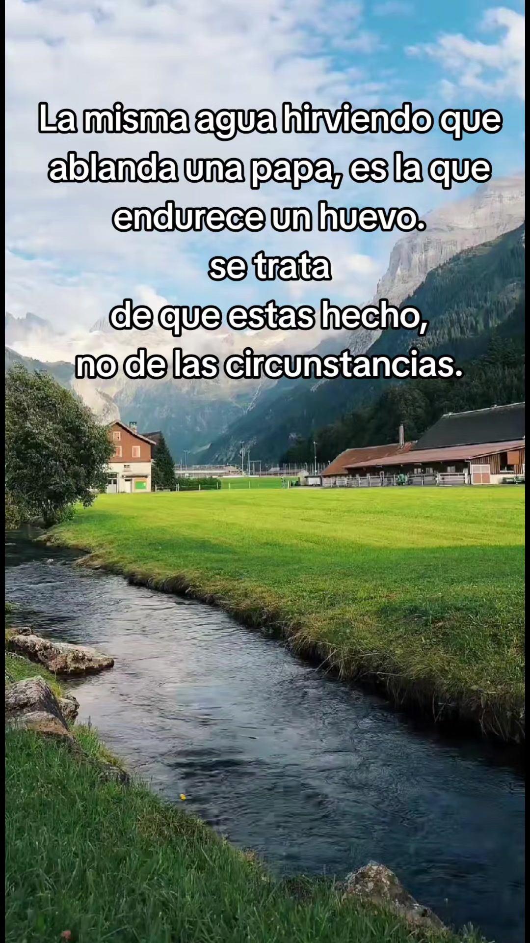 @Jonathan Morazan