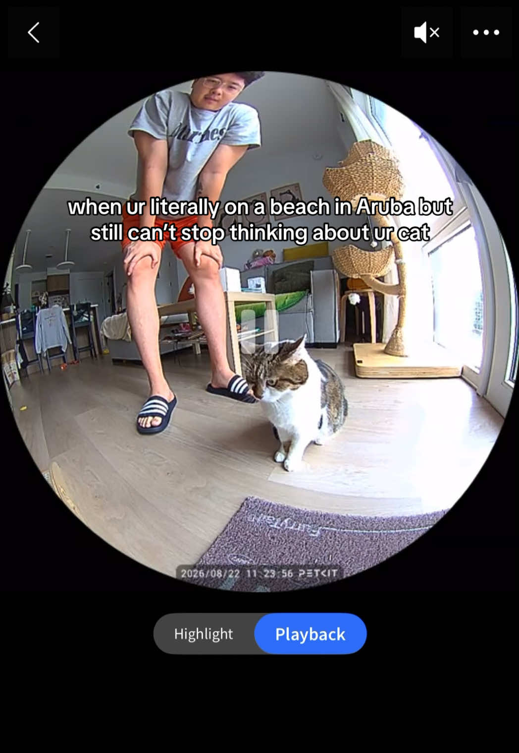 @Suki Purrs