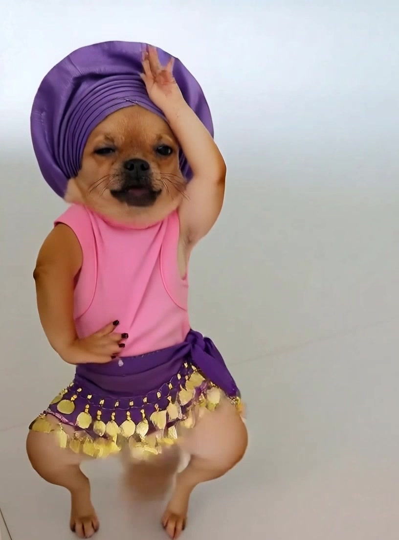 @Pawty