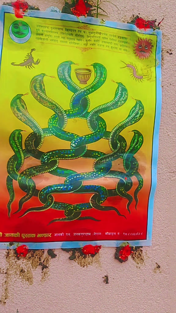 @Aayush Bhandary