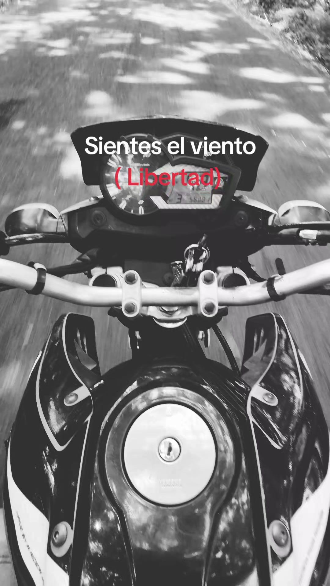 @Michel Hernandez 👑