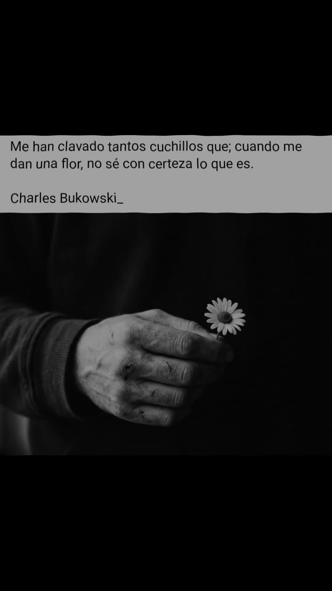 @Chema Camacho